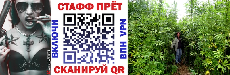 Купить закладку А ПВП  Codein  Галлюциногенные грибы  Марихуана  МЕФ  Кокаин  Краснозаводск