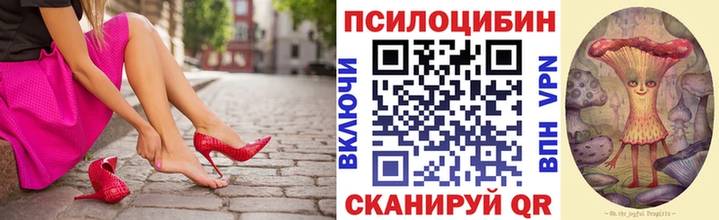 Купить где  Краснозаводск  Галлюциногенные грибы мицелий 