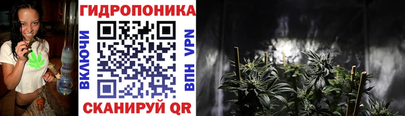 Конопля семена Краснозаводск